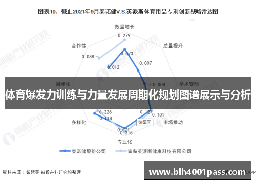 体育爆发力训练与力量发展周期化规划图谱展示与分析